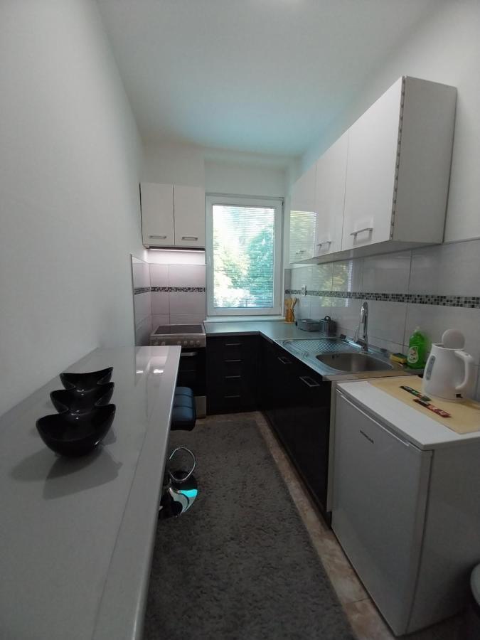Apartmani Sofronic Loznica 1 Bagian luar foto